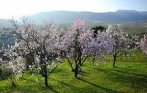 Petite rando hameau Les Puechs