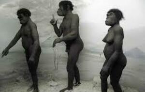 Rando Préhistorama de Rousson